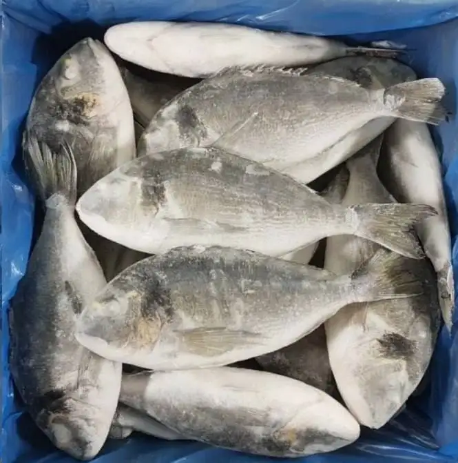 Свежая дорадо из Турции - Продукты питания (Барахолка) в Тюмень