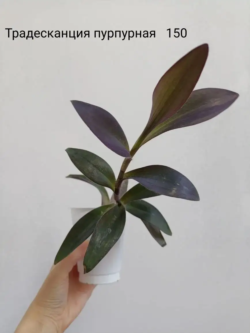 Объявления Тюмень - Барахолка в Тюмень