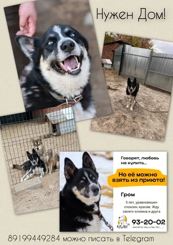 Продажа Грома - Офисное оборудование в Тюмень