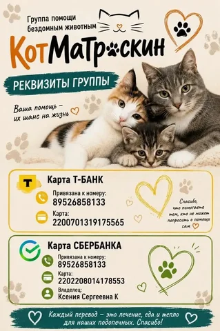 Помощь бездомным животным в Тюмени - частное объявление в Тюмень