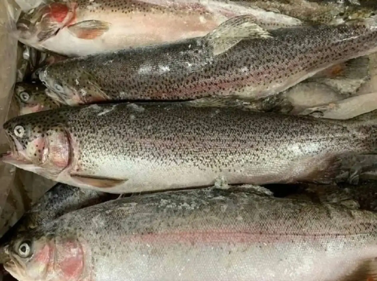 Форель икорная свежемороженая - Продукты питания (Для дома и дачи) в Тюмень