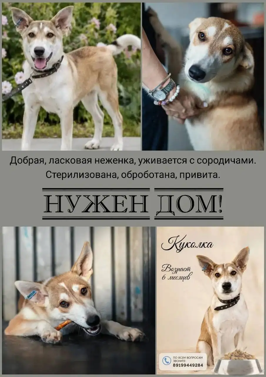 Продажа куколки - Игрушки (Товары для детей) в Тюмень