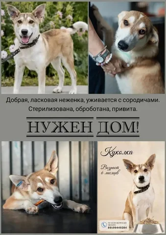 Продажа куколки - Детская одежда в Тюмень