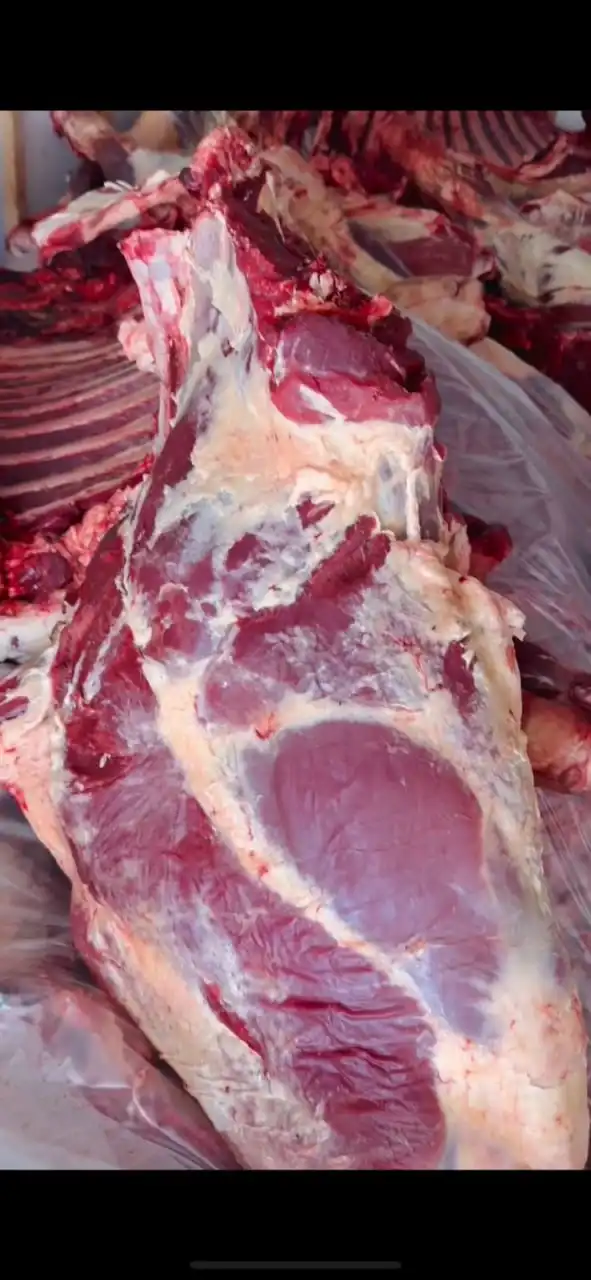 Продажа свежей рыбы, красной икры и говядины