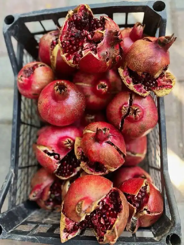 Продажа говядины, рыбы, красной икры и фруктов из Абхазии