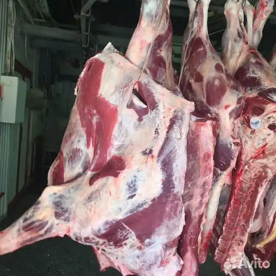 Продам говядину передок и задок