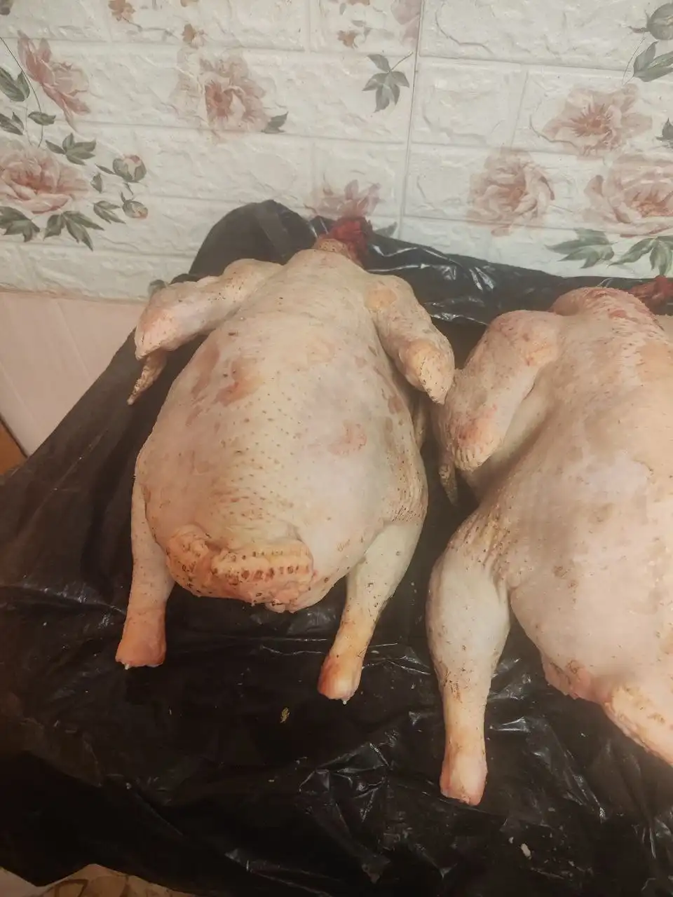 Тушки индюка, петухов и гусиный жир