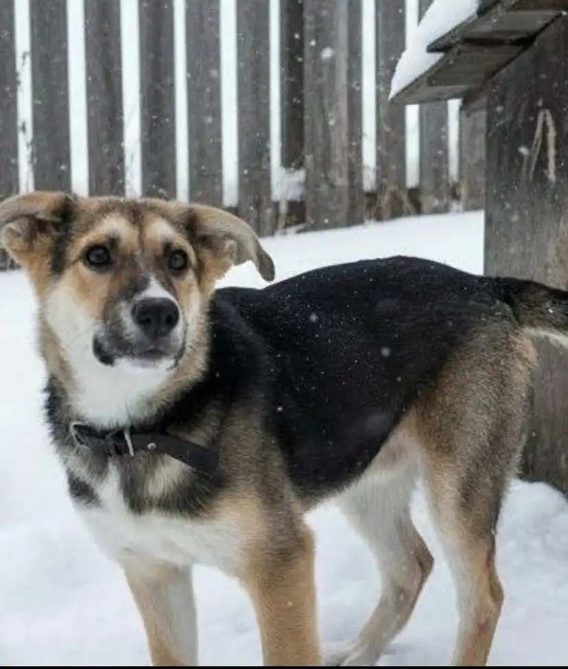 Срочно ищем дом для бездомного ребенка