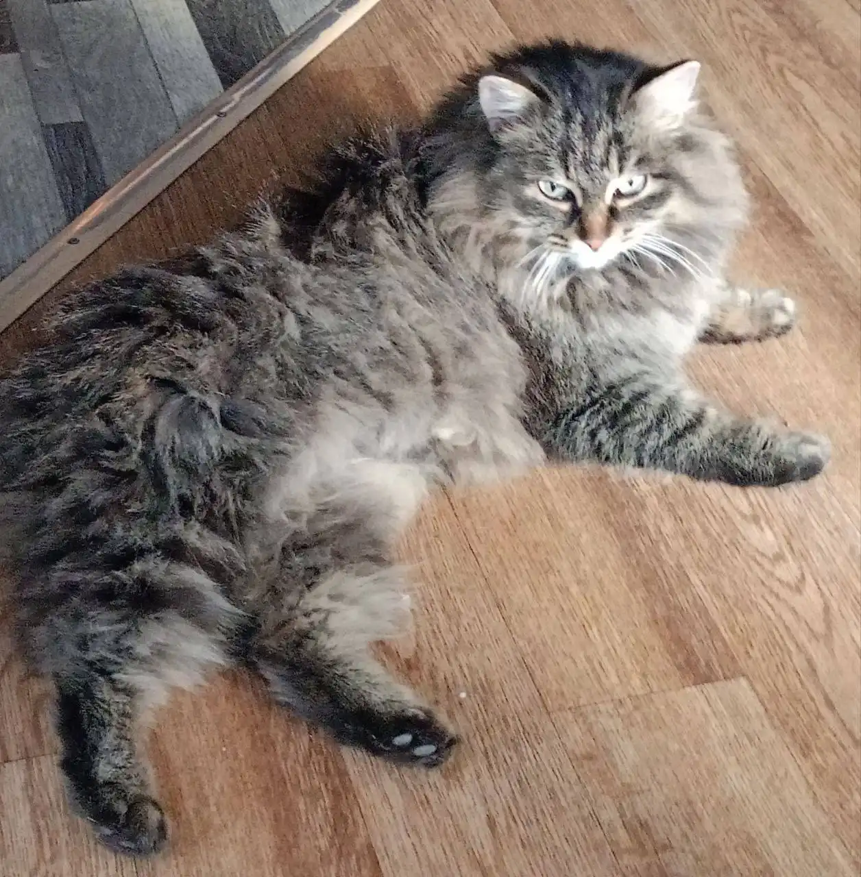 Безумно красивая принцесса ищет любящего хозяина