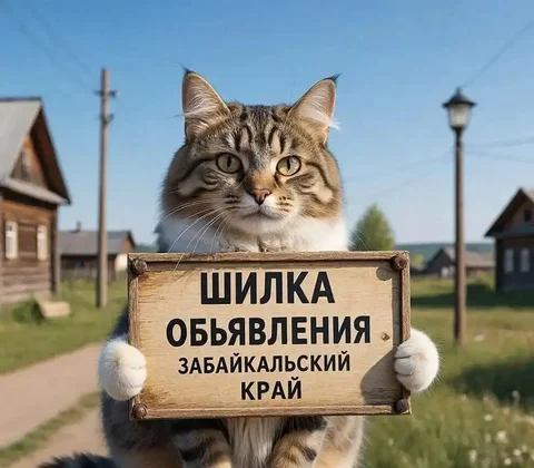 Объявления г. Чита и Забкрая - Окна в Чита