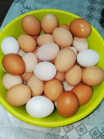 Продажа домашних яиц - Парфюмерия в Чита