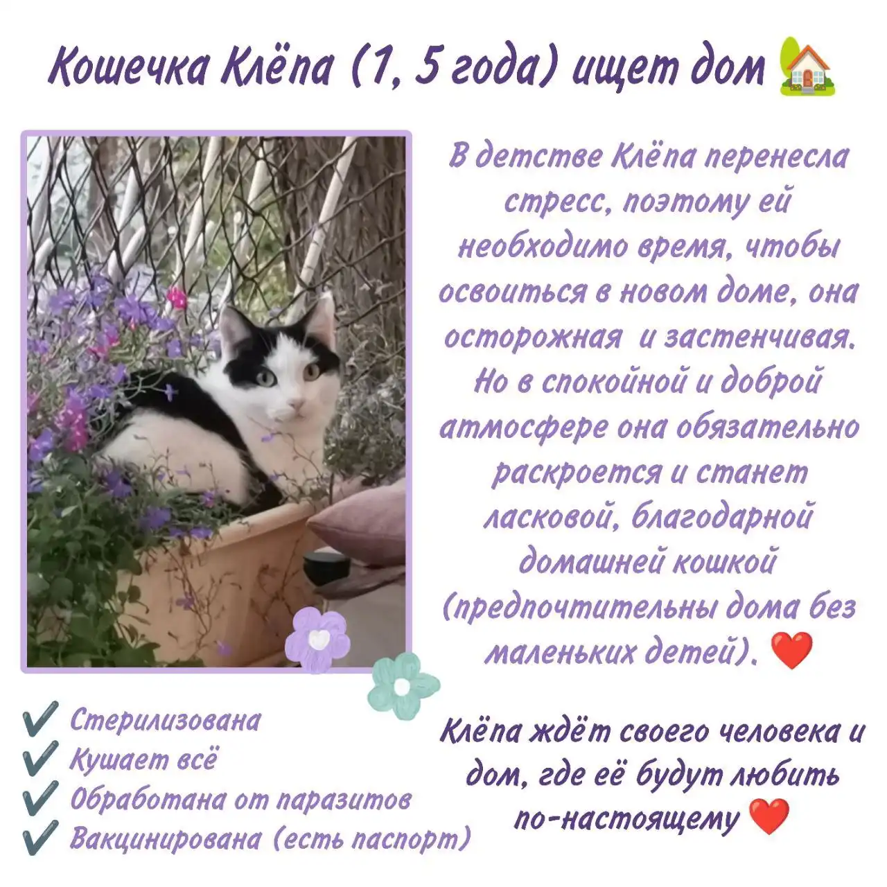 Продажа подержанного автомобиля в Чите - Авто в Чита