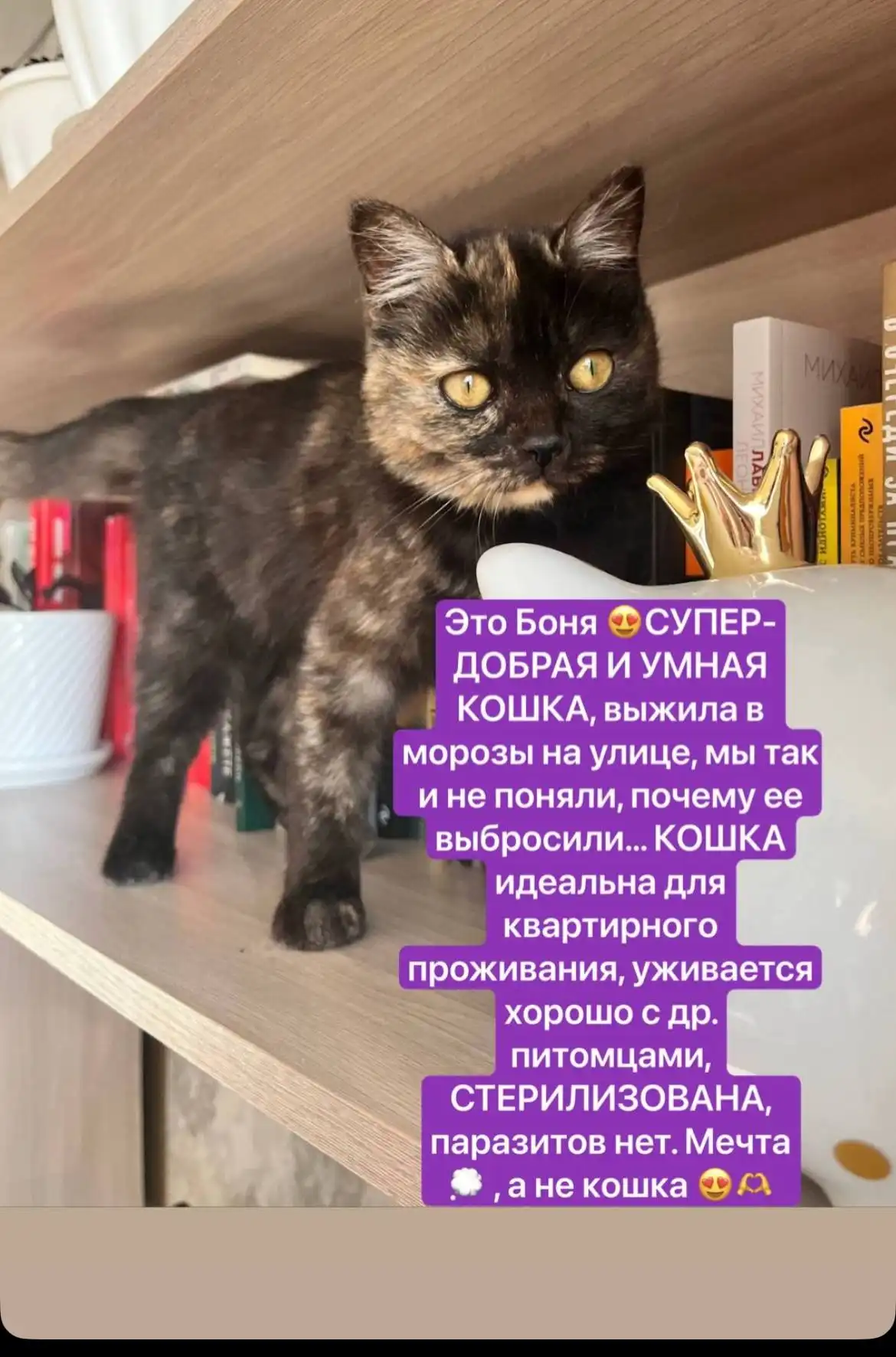 Продажа б/у товаров и услуг в Чите - Барахолка в Чита