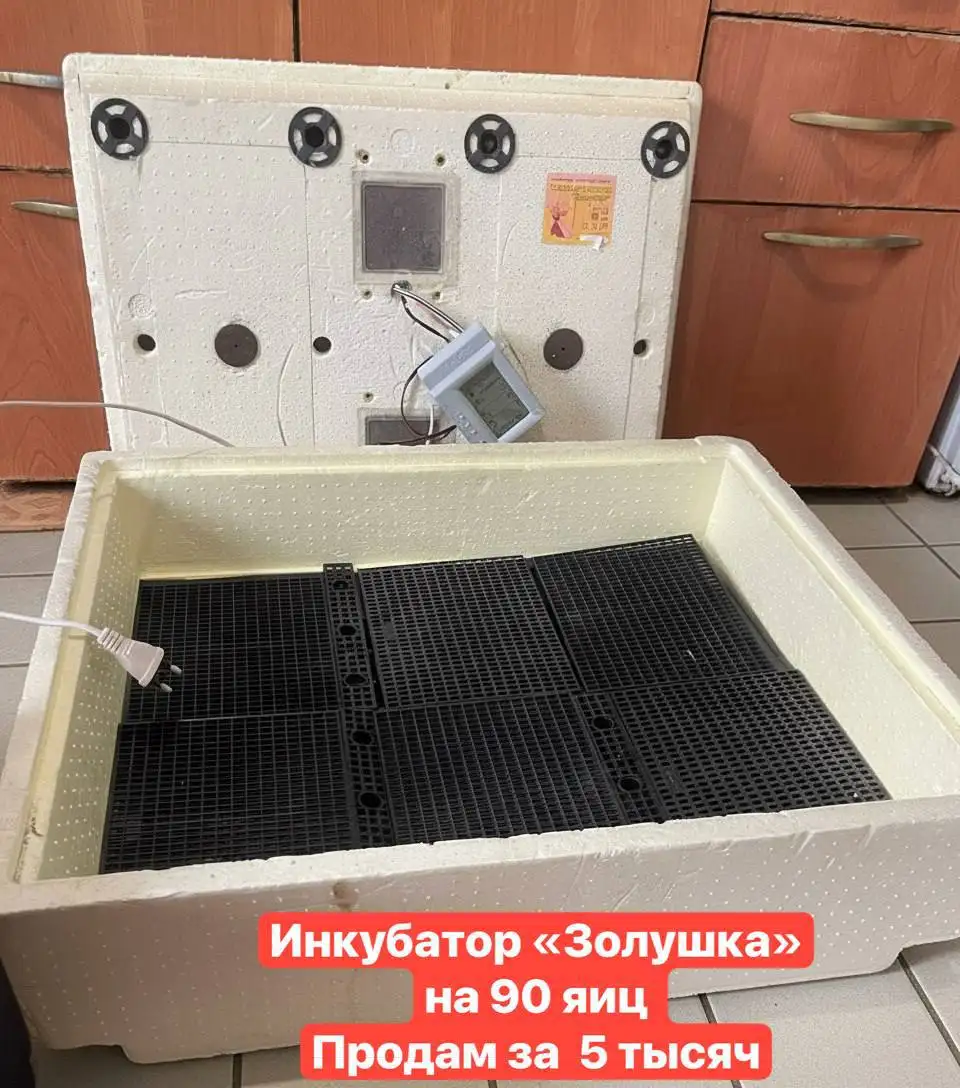 Продам айфон 13 - Смартфоны (Электроника) в Чита