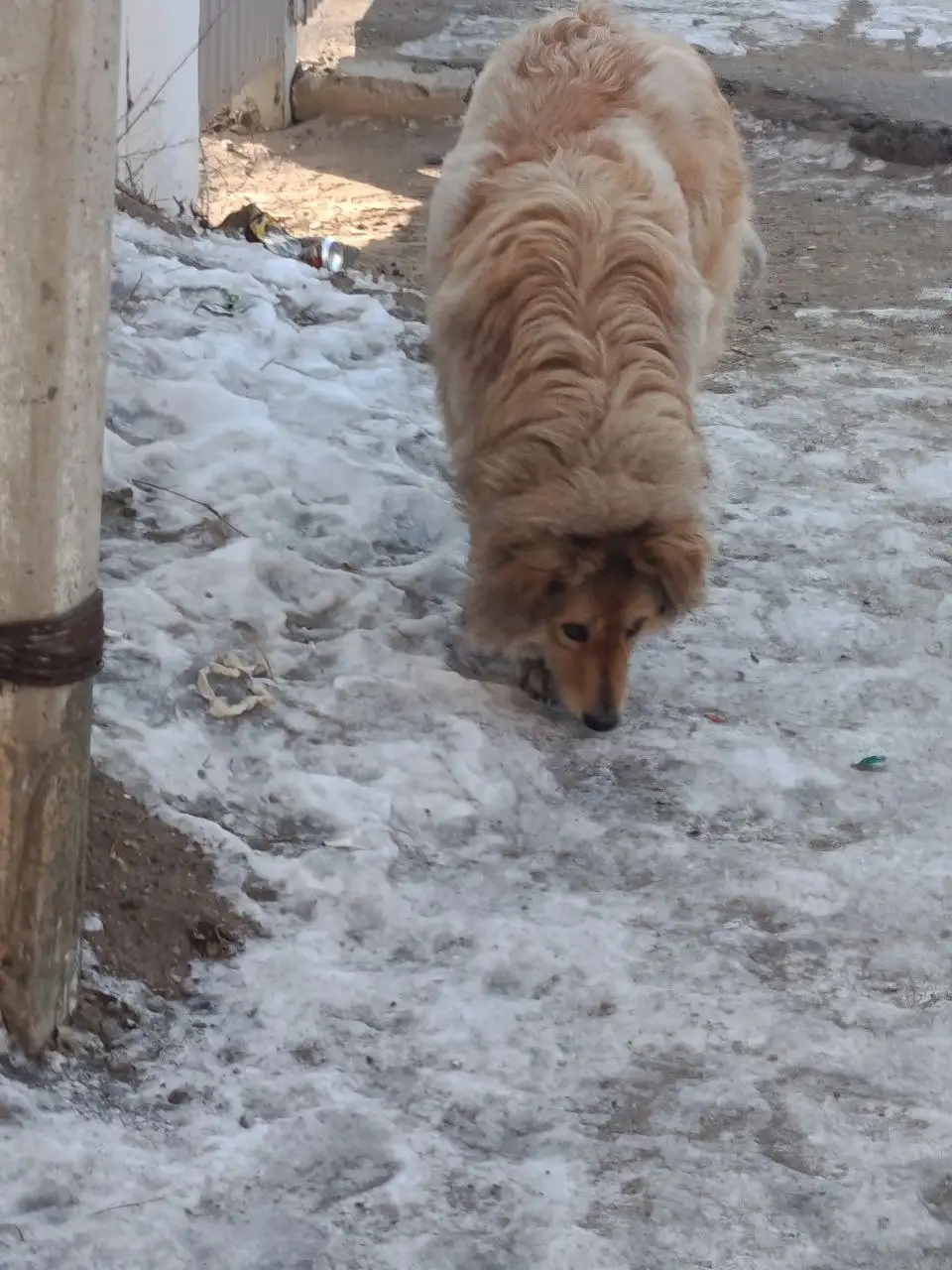 Продам запчасти для автомобиля в Чите - Автозапчасти (Запчасти) в Чита