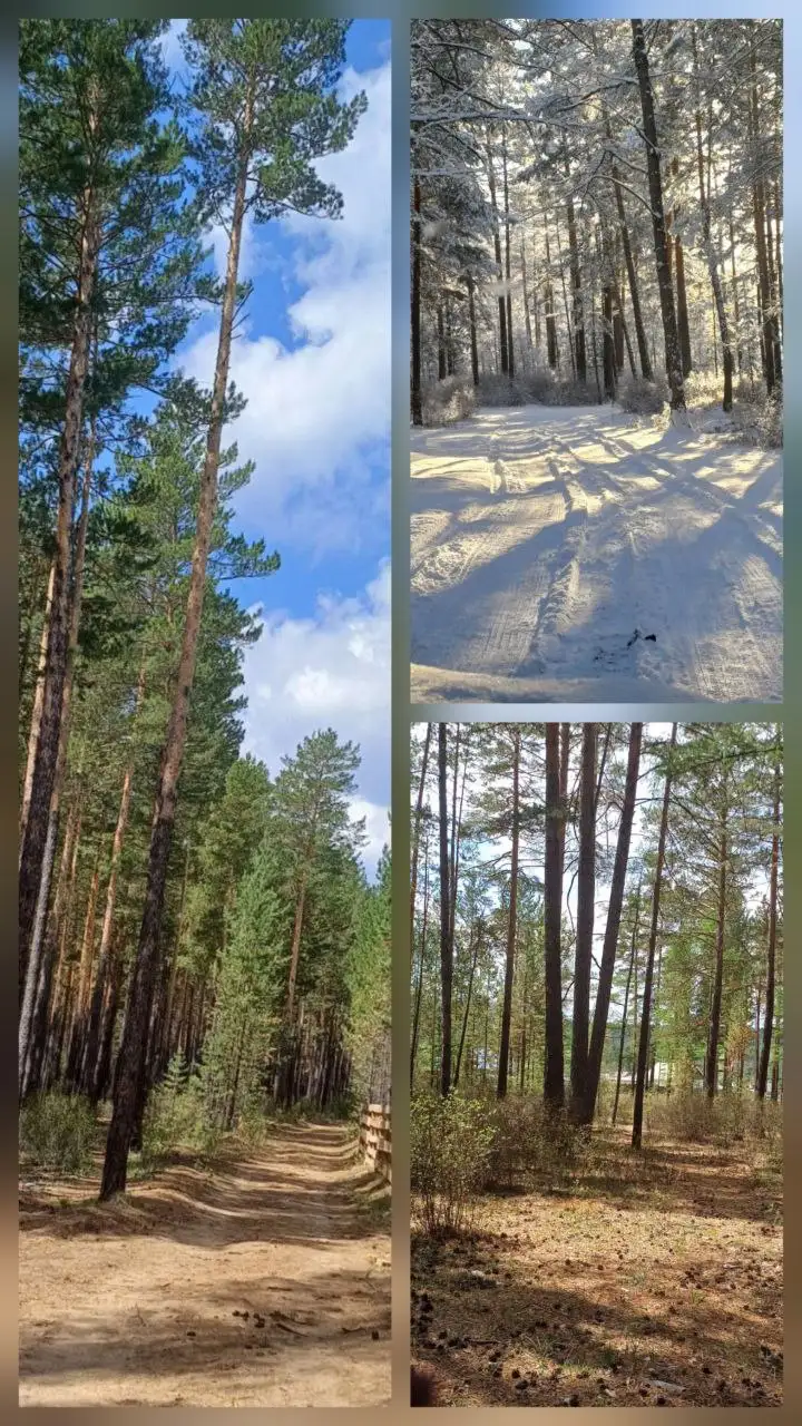 Продажа земельного участка в п.Забайкалец - Земельные участки (Недвижимость) в Чита