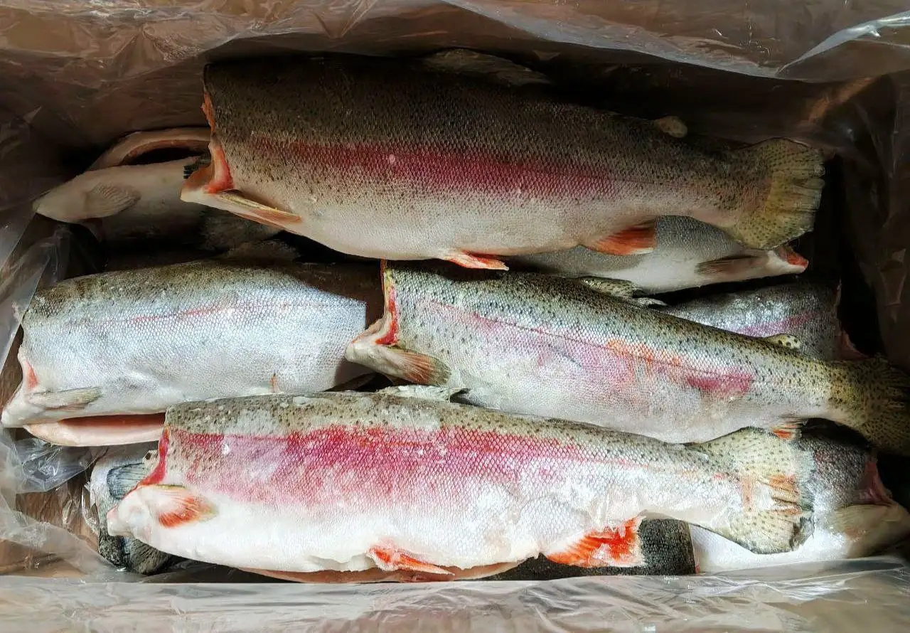 Интернет-магазин замороженных продуктов Акватория вкуса в Чите - Готовый бизнес и оборудование в Чита