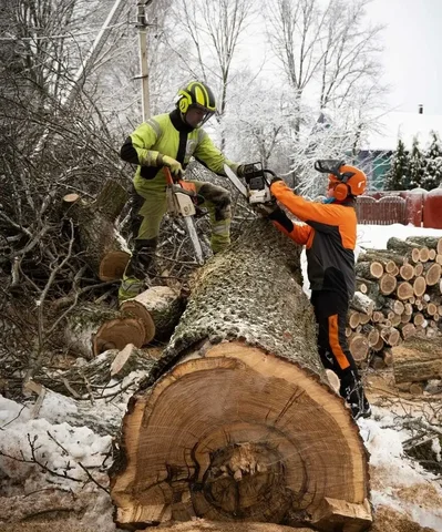 Вахтовая работа на распилку леса в Могочинском районе - Вахтовая работа в Чита