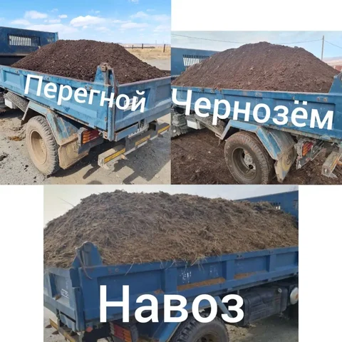 Продажа лесной плодородной земли, перегноя и навоза - Удобрения и почва в Чита