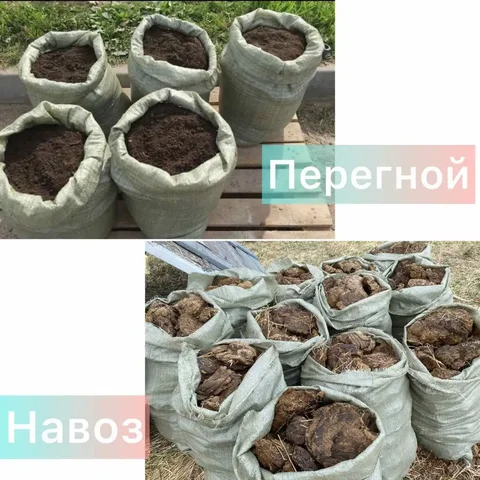 Продажа перегноя и навоза КРС в мешках - частное объявление в Чита