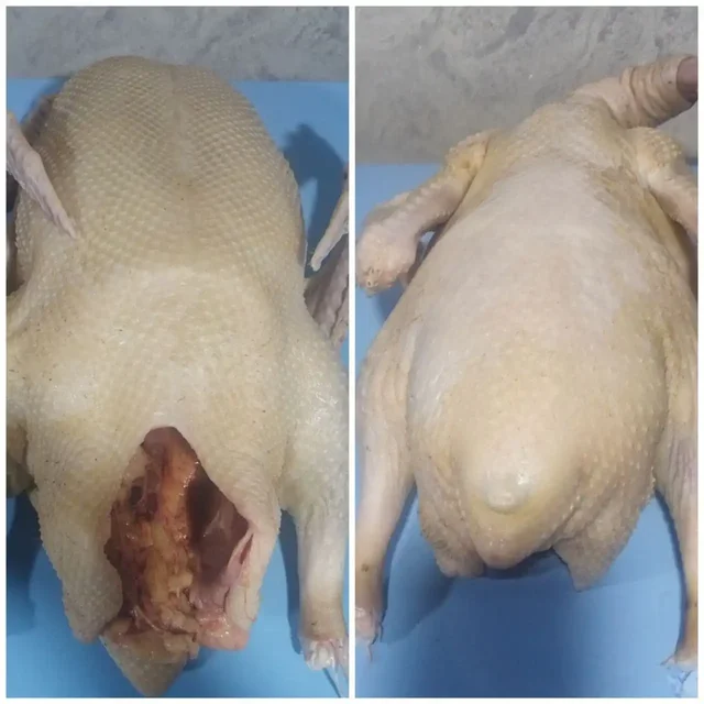 Продажа гусиного жира и мяса гуся - Для дома и дачи в Ангарск