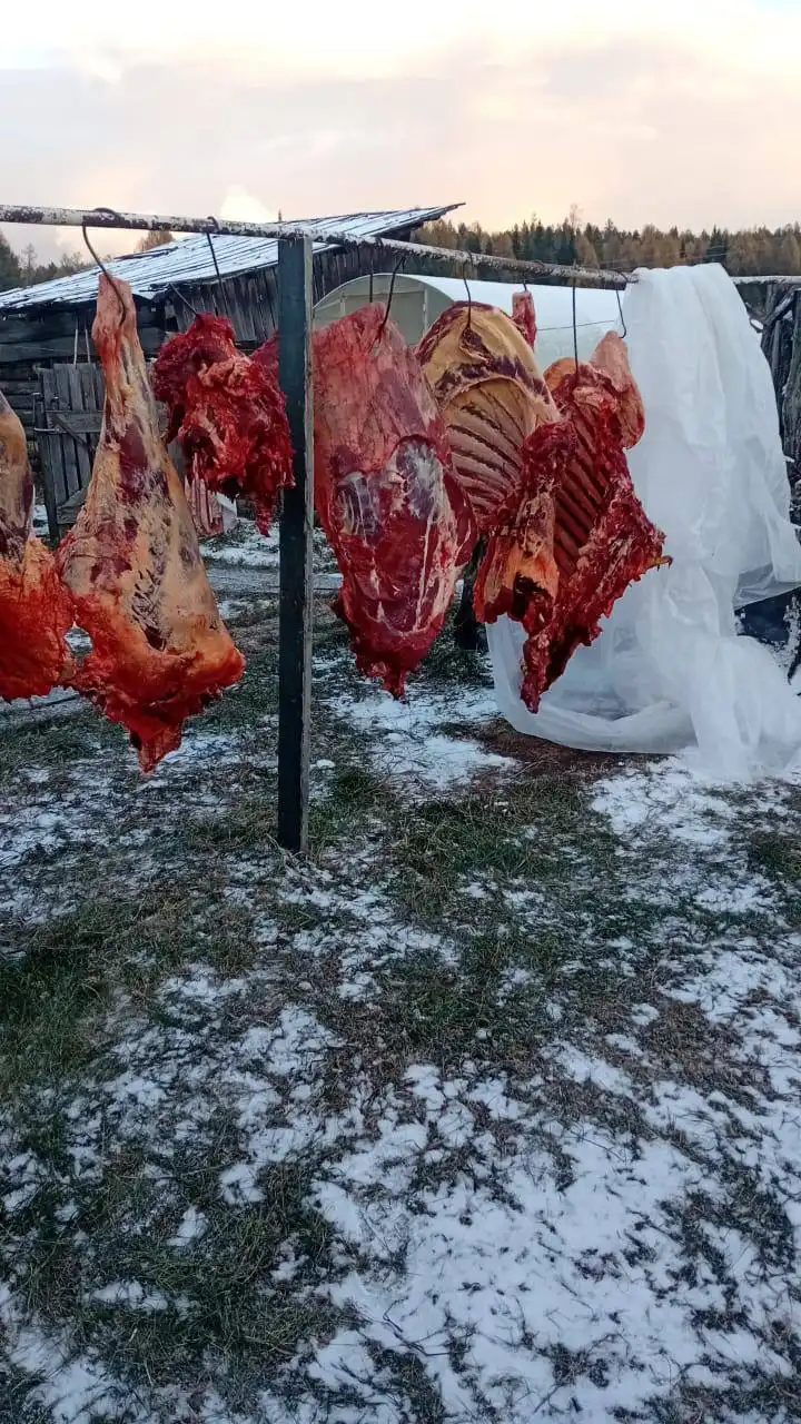 Продажа мяса и рыбы: говядина, свинина, баранина, птица, сиг, пелядь, лещ