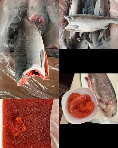 Продажа свежей рыбы и икры - Хобби и отдых в Ангарск