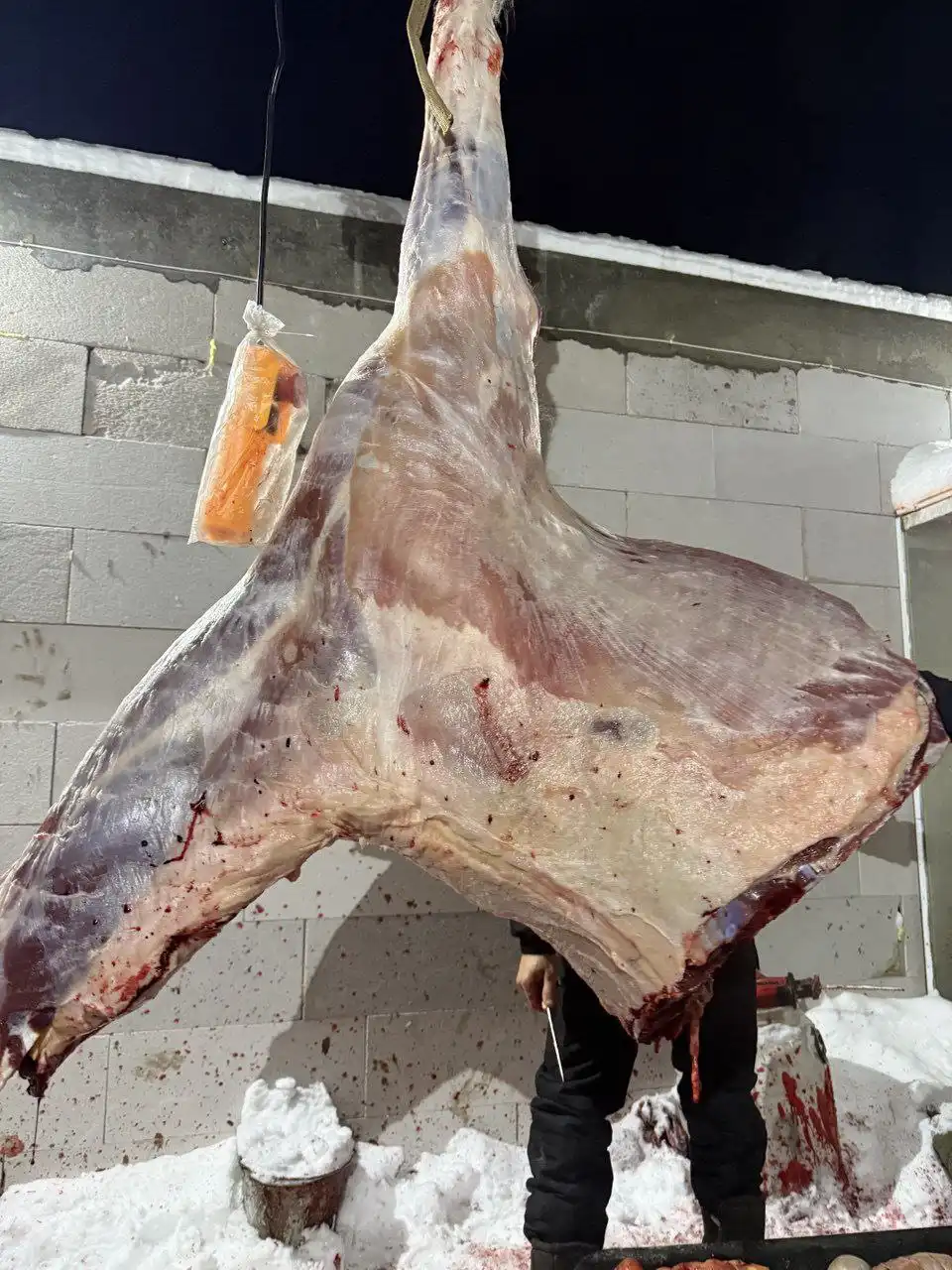 Продам мясо: говядину, телятину, конину, баранину