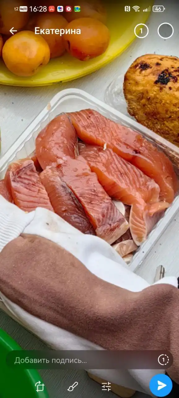 Продажа свежей горбуши серебрянки