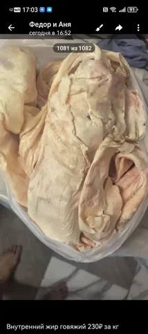 Внутренний жир говяжий - Животные в Ангарск