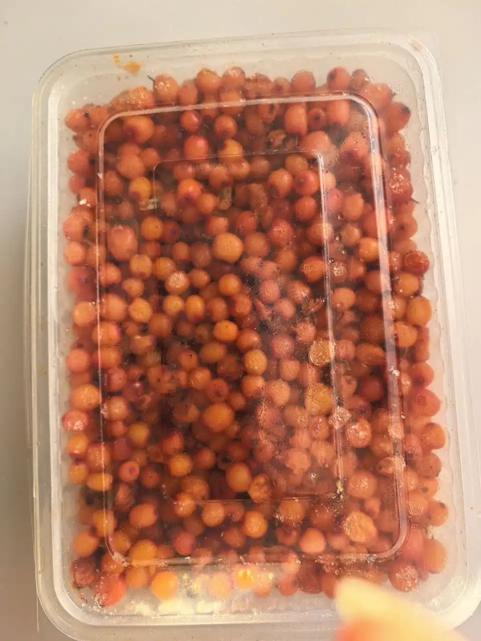 Продажа облепихи