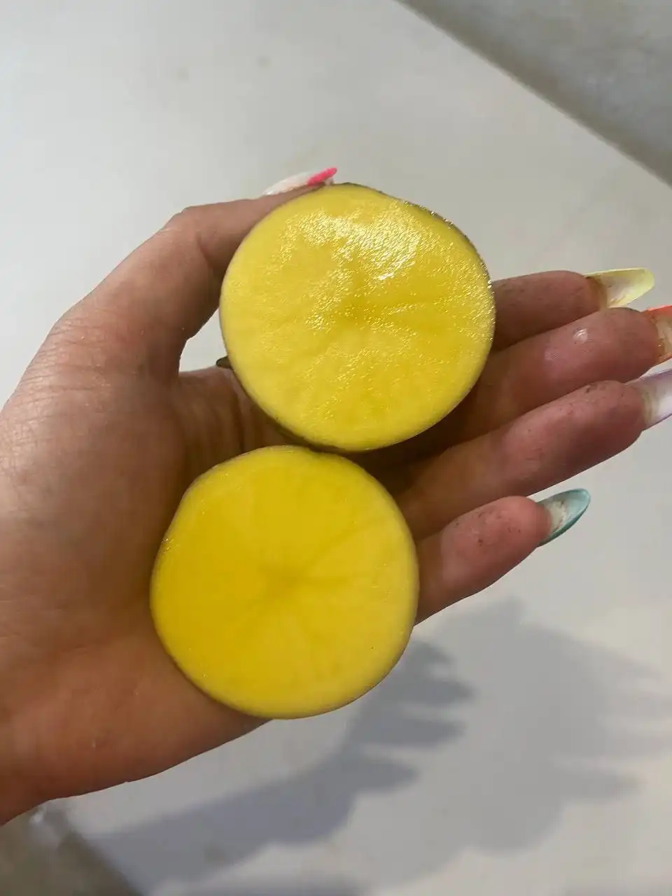 Картофель сорт Гала из Сосновки