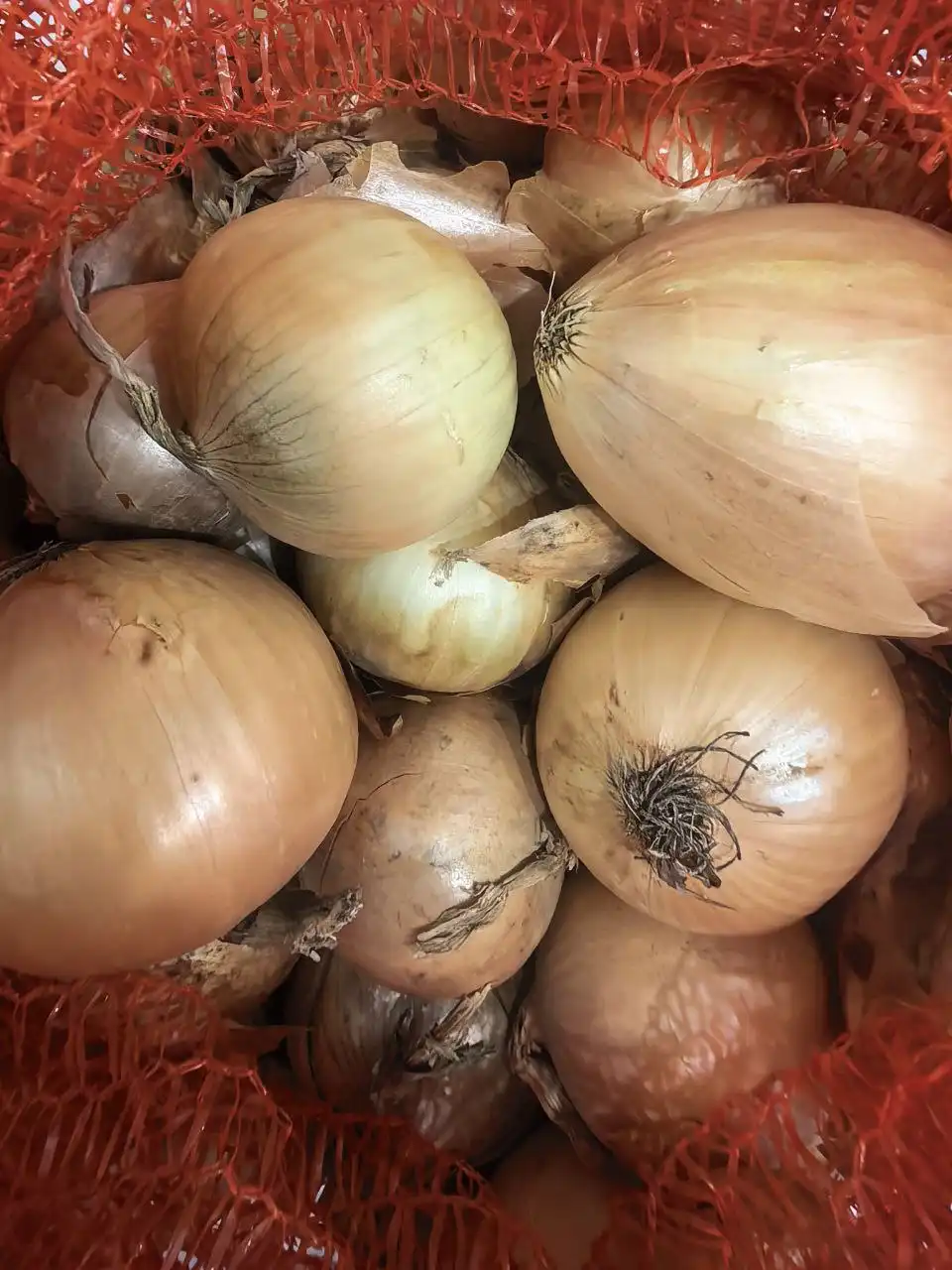 Лук по цене 40₽ за кг с доставкой