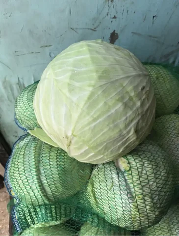 Продажа белокочанной капусты для хранения и засолок - Для дома и дачи в Ангарск