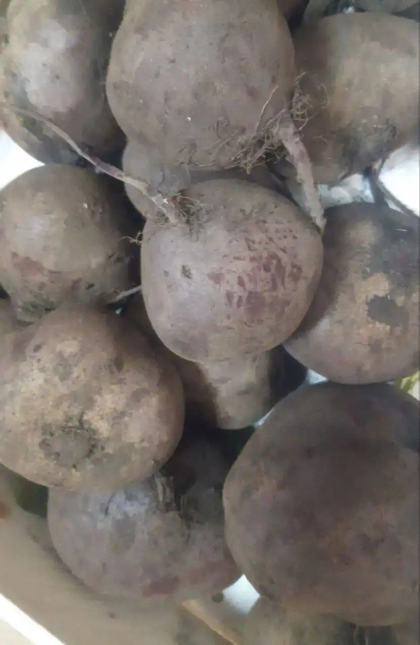 Свекла в Ангарске