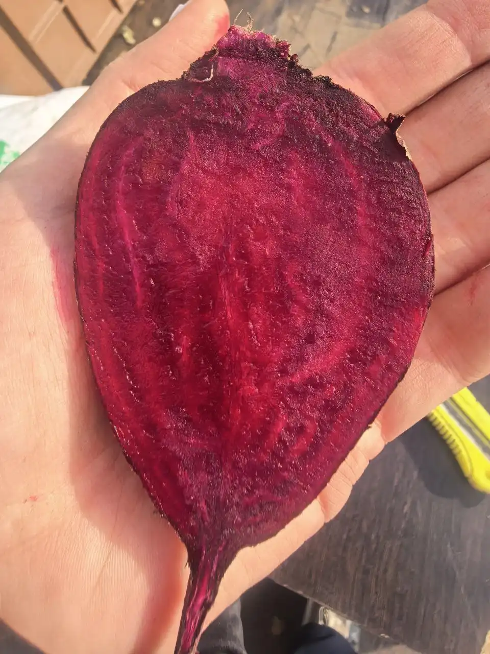 Свекла в Ангарске