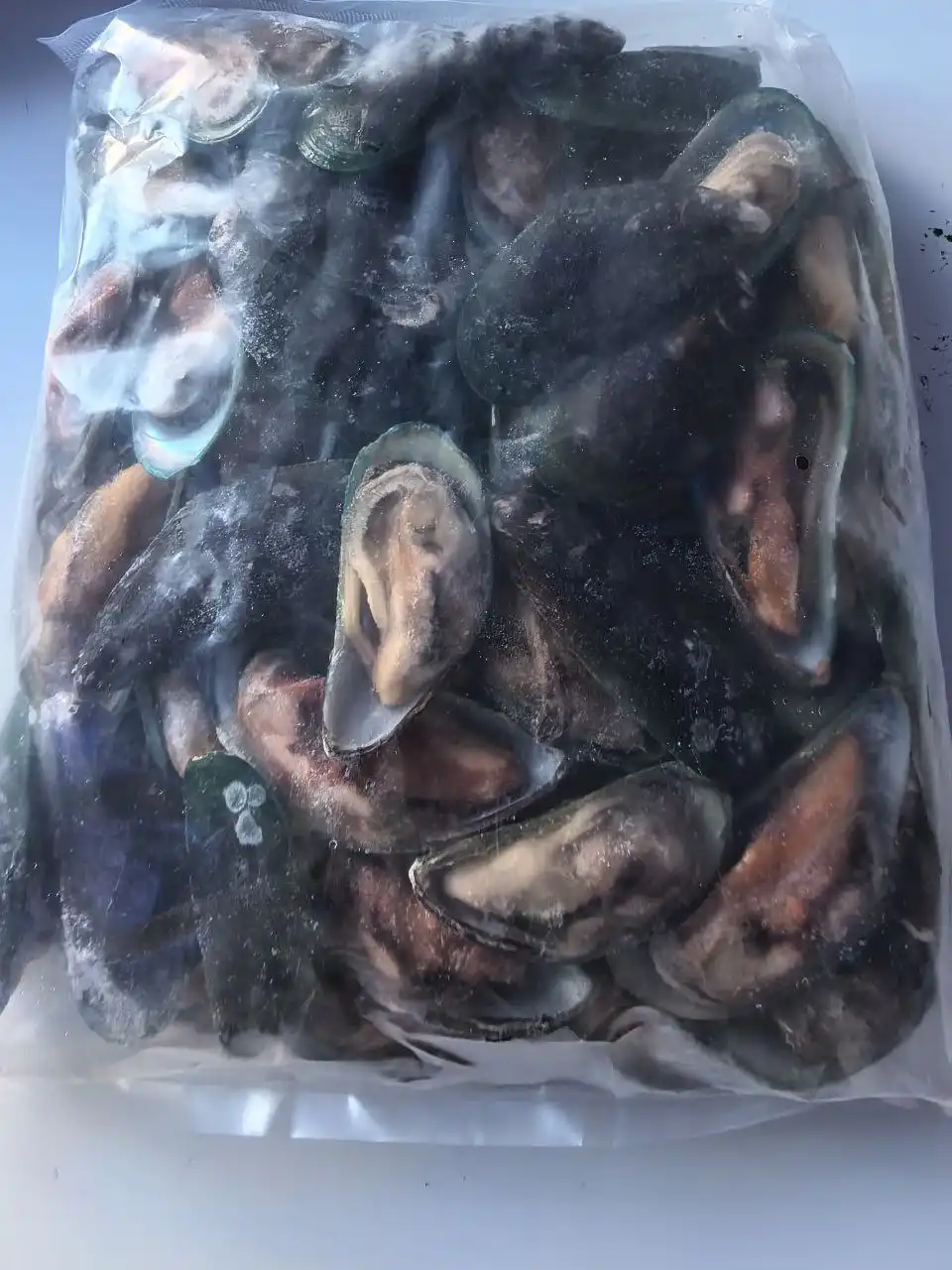 Мидии на створке 1 кг