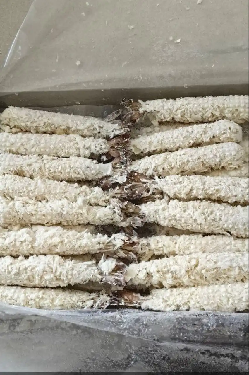 Продажа креветки торпеда