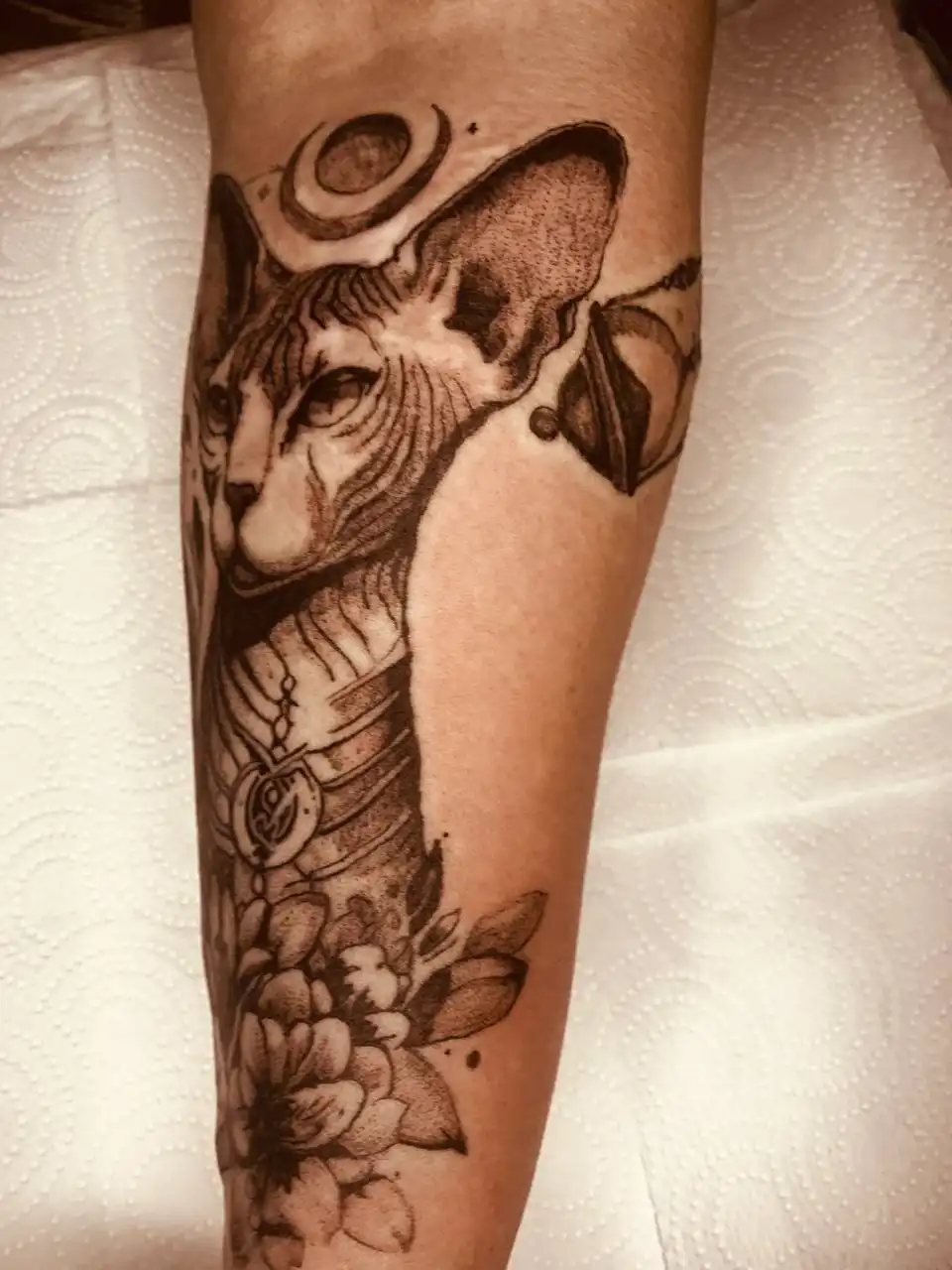 Татуировка на тему Сфинкса