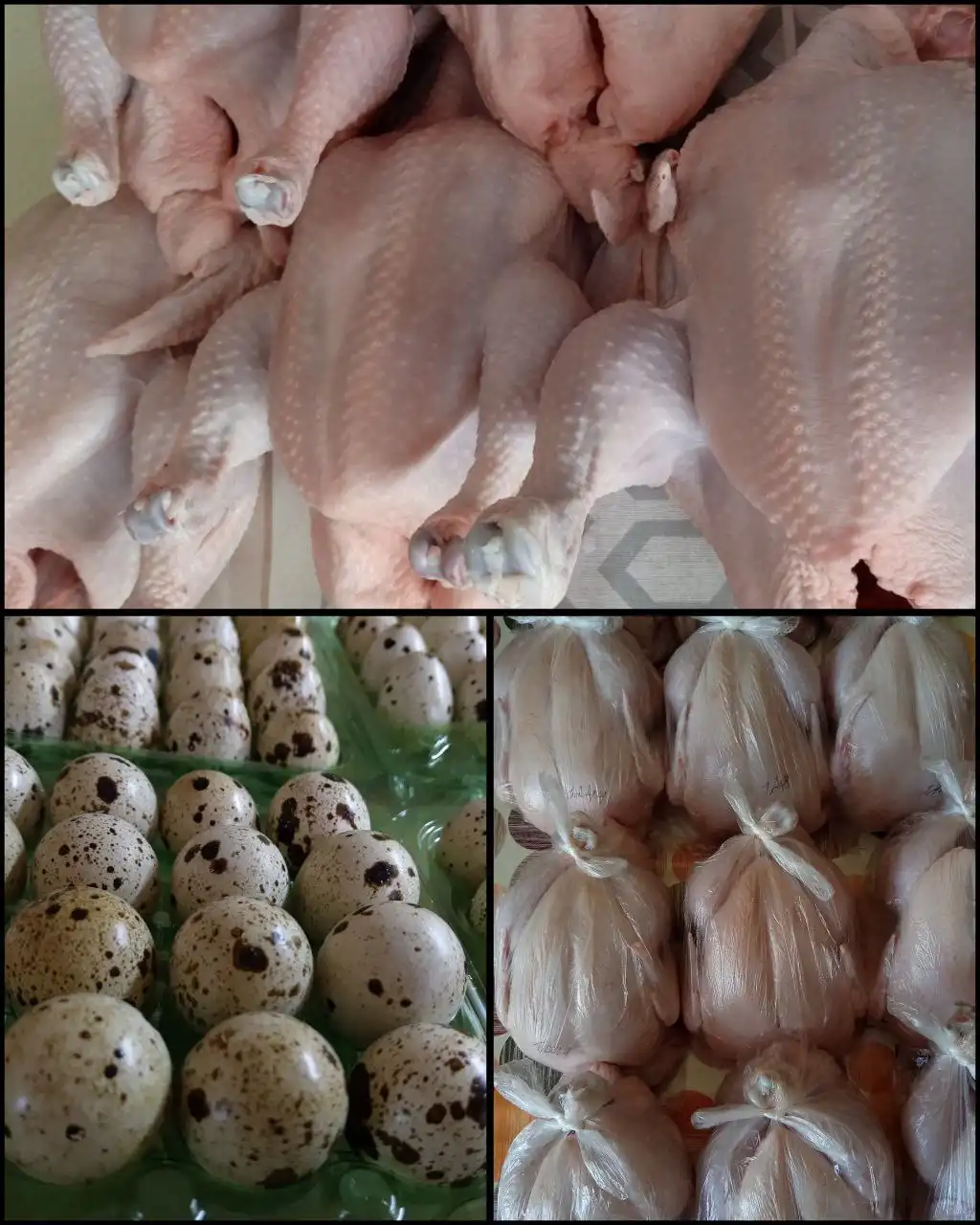 Мясо бройлера и перепелиные яйца заморозка