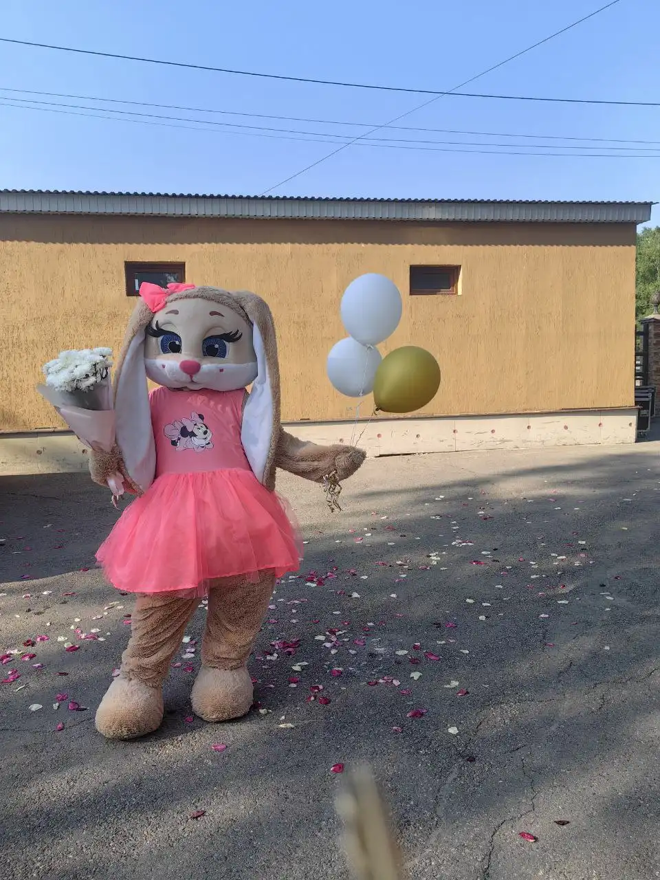 Поздравление от ростовой куклы на любое событие