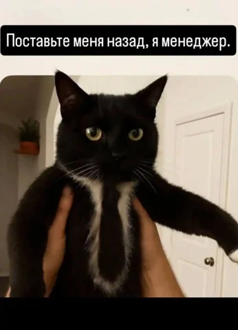 Вакансия помощника кадровика в Иркутске - Административная работа в Иркутск