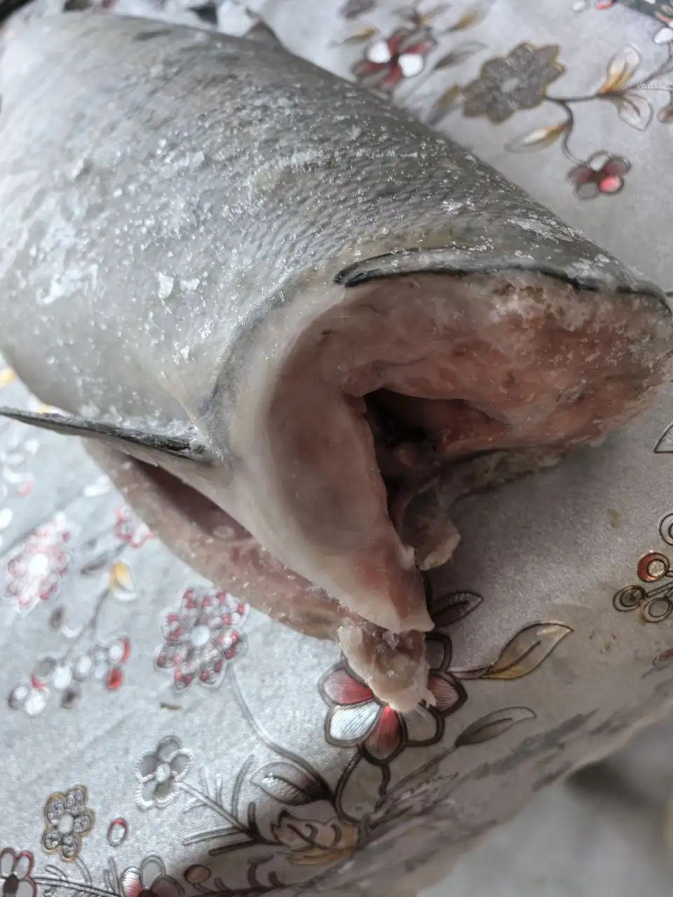 Кета крупная штучной заморозки - Барахолка в Ангарск