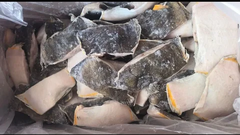 Продажа камбалы кусковой - Свечи в Ангарск