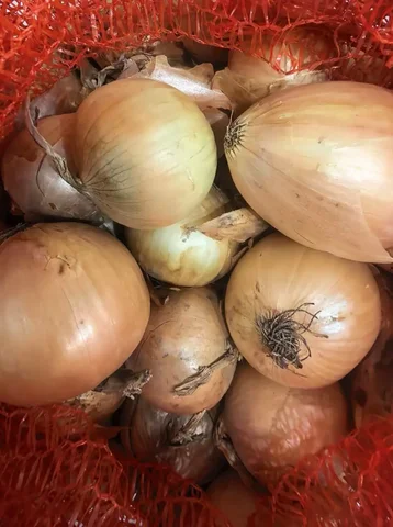 Продам лук репчатый - Еда в Ангарск