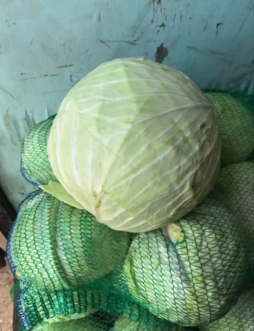 Продажа капусты белокочанной - Свечи в Ангарск