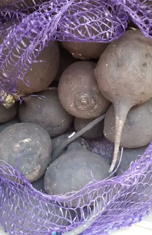 Продажа черной редьки - Еда в Ангарск