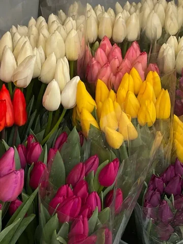 Предзаказ тюльпанов к 8 марта с доставкой - частное объявление в Усолье-Сибирское