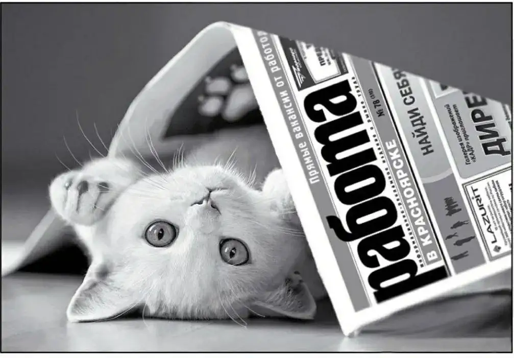 Помощник кадровика на подработку - Подработка (Работа) в Иркутск