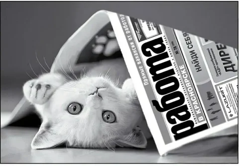 Помощник кадровика на подработку - Продажи, торговля в Иркутск